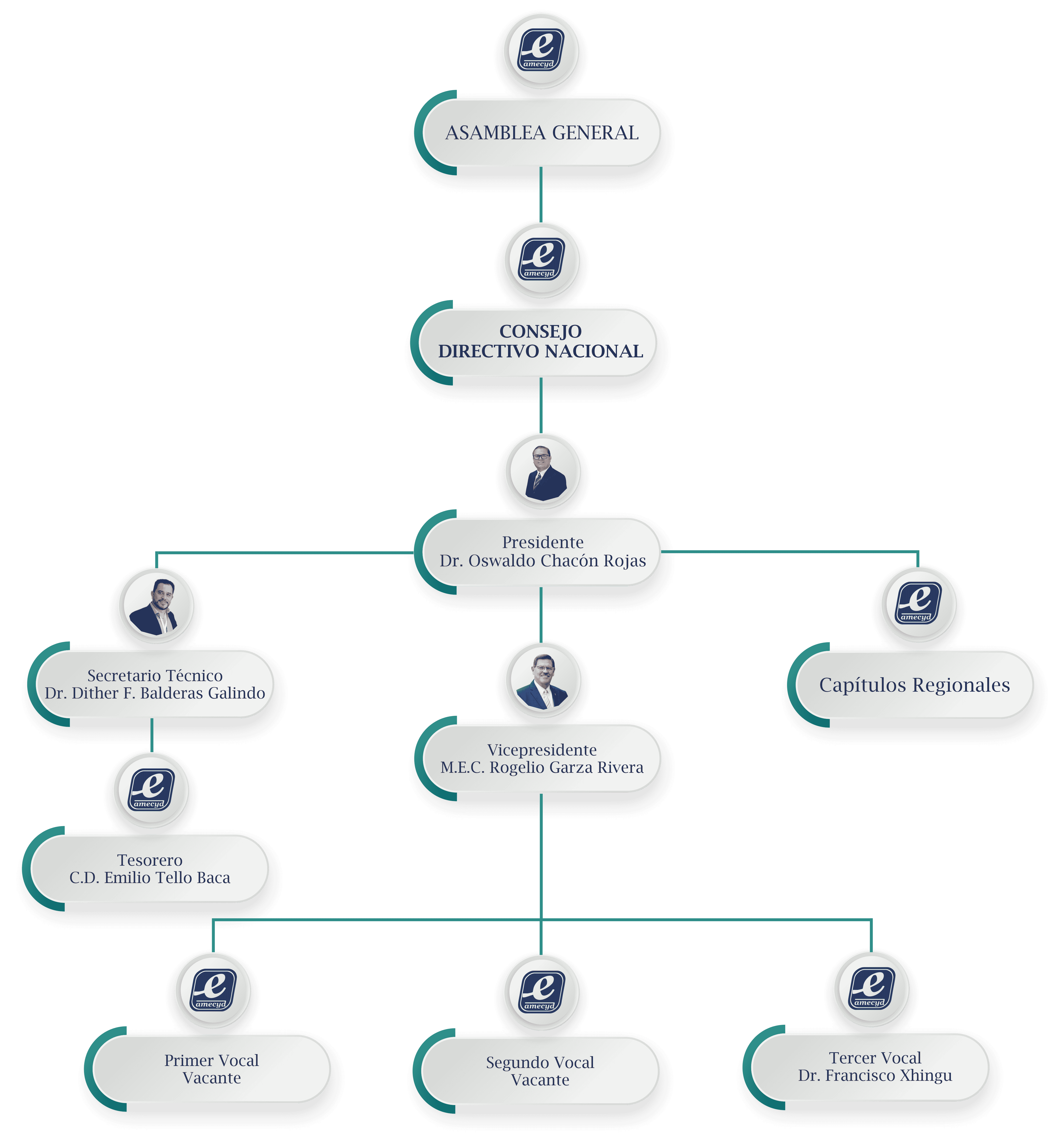 Estructura organizacional
